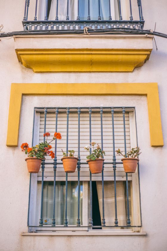 Back in Andalusia
