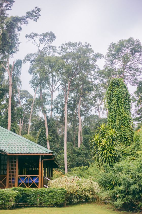 Sabah's Natural Beauty