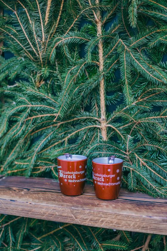 3 Day Trips from Stuttgart: For the Perfect Christmas Holiday