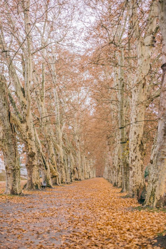 3 Day Trips from Stuttgart: For the Perfect Christmas Holiday
