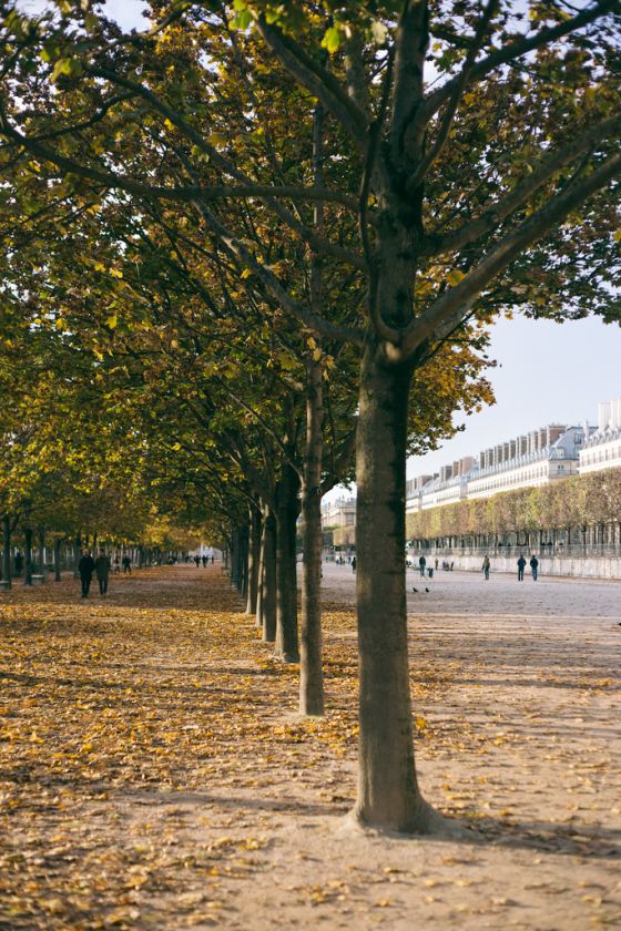 A Luxurious Weekend in Paris