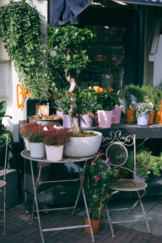 a weekend in Amsterdam