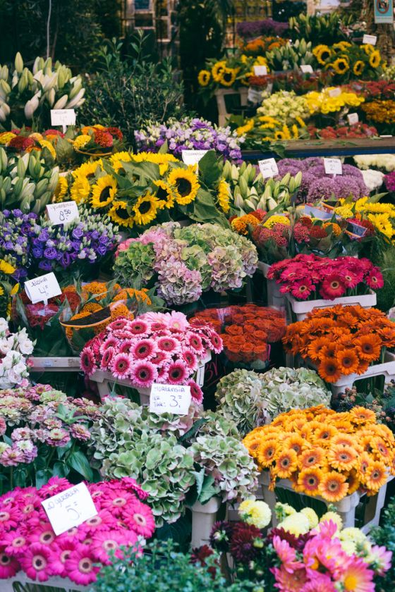 a weekend in Amsterdam