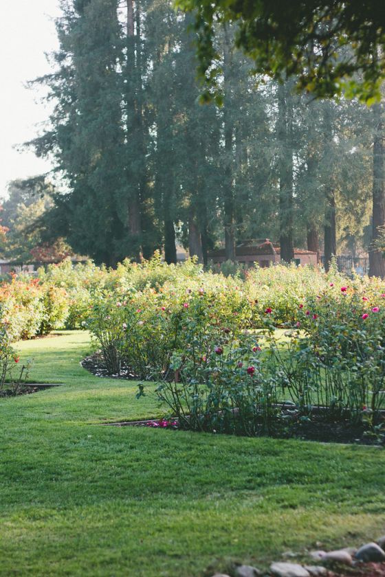 3 Parks to Visit in San Jose, California