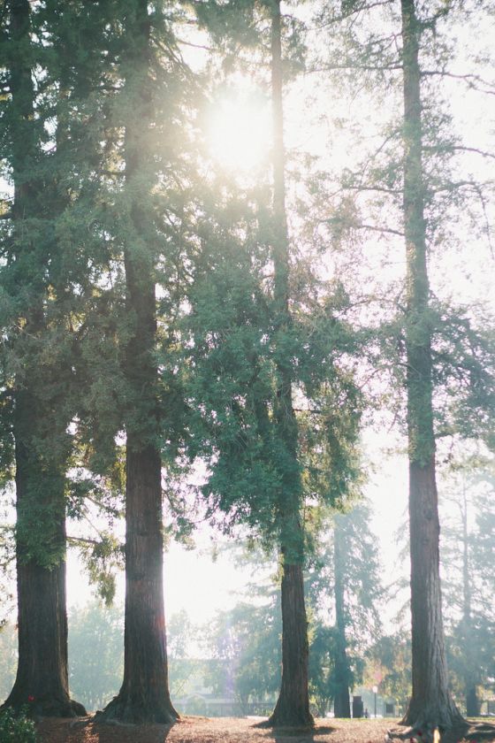3 Parks to Visit in San Jose, California