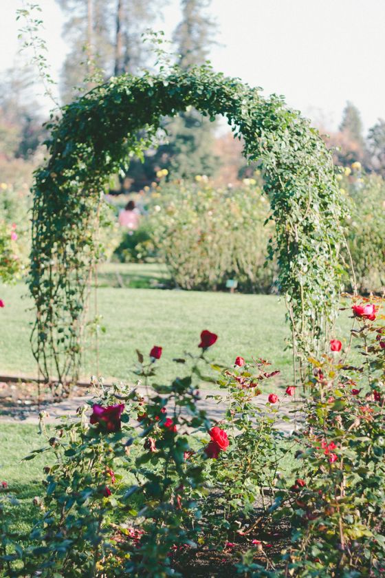 3 Parks to Visit in San Jose, California