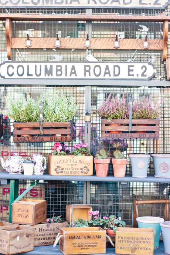 Visiting Columbia Road Flower Market Tips & Advice