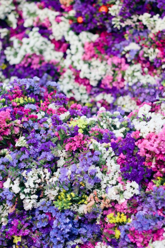 Visiting Columbia Road Flower Market Tips & Advice