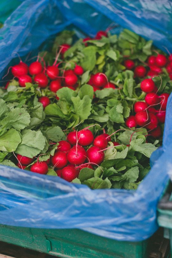 Farmers Market Tips