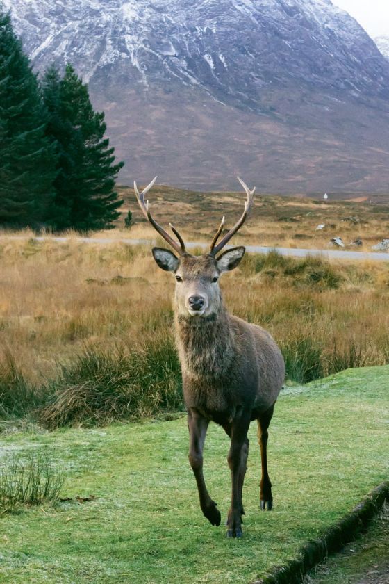 2 Days Scottish Highlands Road Trip Itinerary