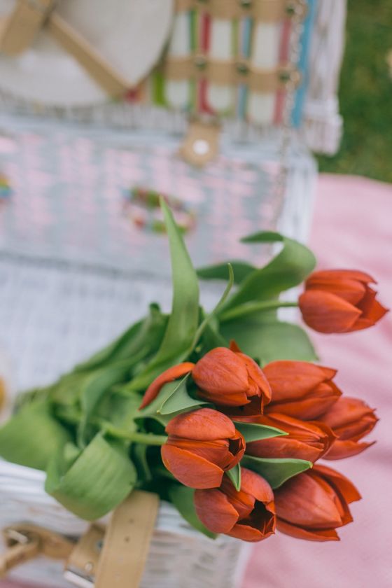 Summer Picnic Essentials: The Eco-Friendly Guide