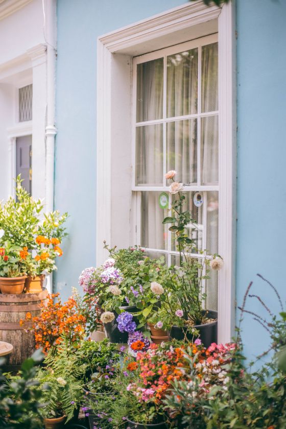 Self Guided Notting Hill Tour & Instagram Guide