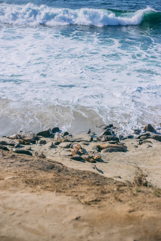 3-Day San Diego Travel Guide