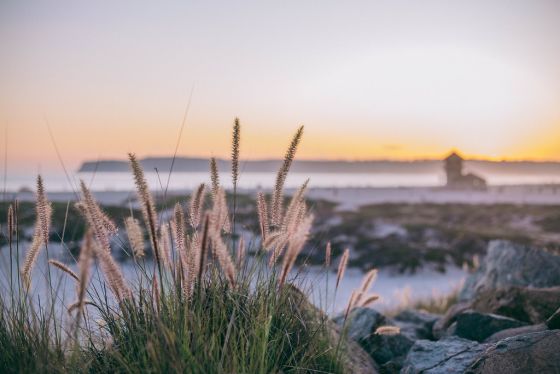 3-Day San Diego Travel Guide