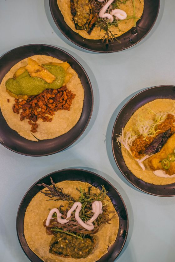 3-Day San Diego Travel Guide