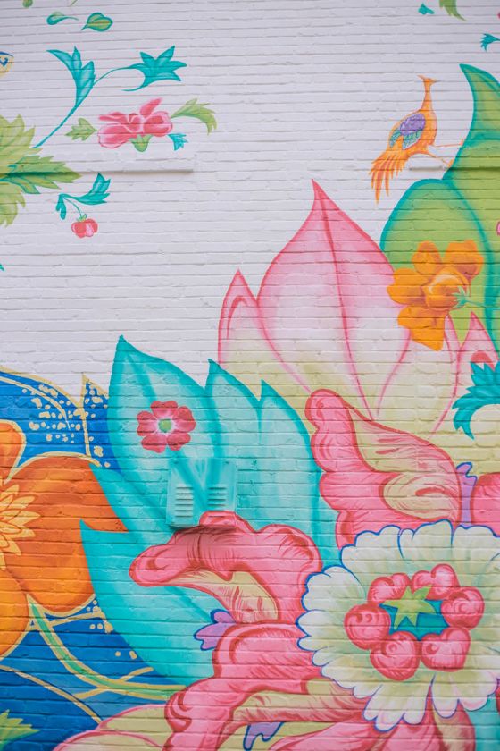 The Best Things to do in Lakeland, Florida