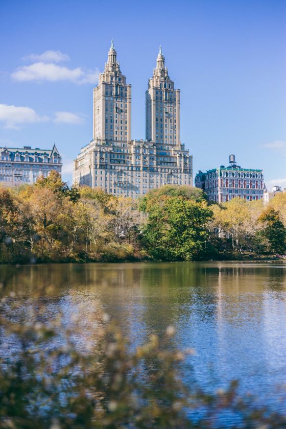 A Reflective Autumnal Walk in Central Park
