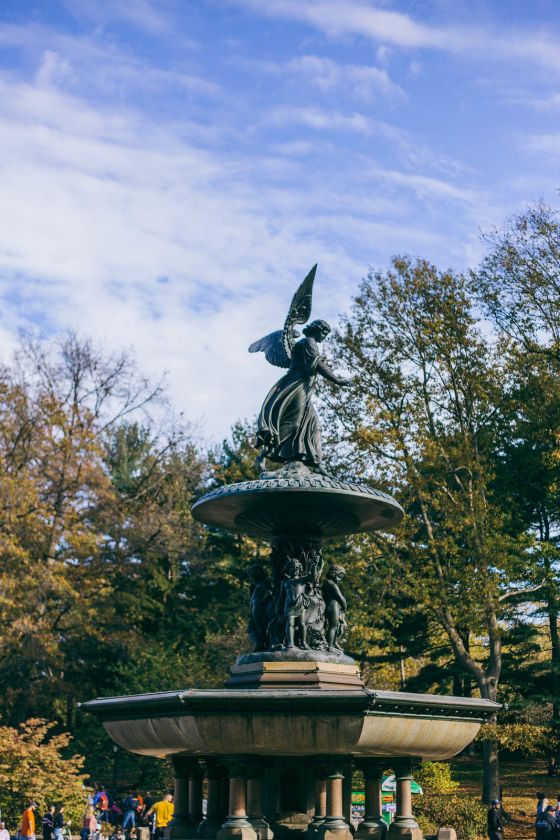 A Reflective Autumnal Walk in Central Park