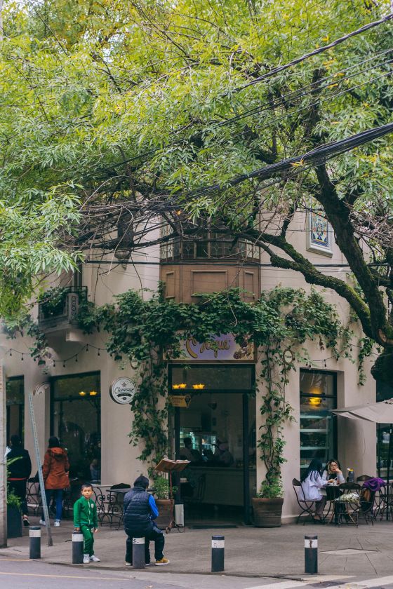 Photos to Inspire You to Visit Roma in Mexico City