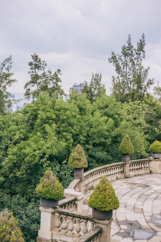 A Photo Walk through Bosque de Chapultepec