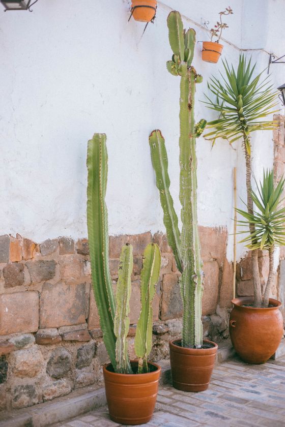 10 Useful Tips for Traveling to Cusco, Peru