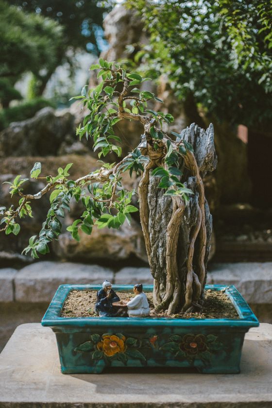 Chi Lin Nunnery and Nan Lian Garden