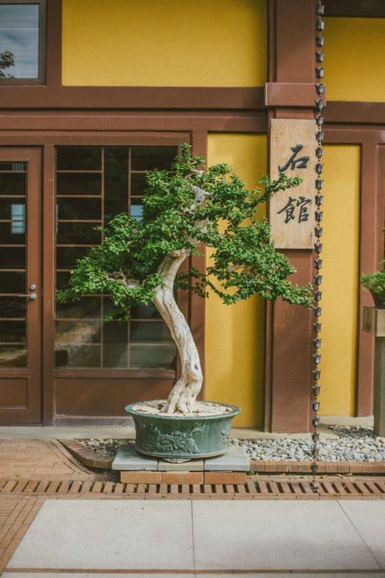 Chi Lin Nunnery and Nan Lian Garden