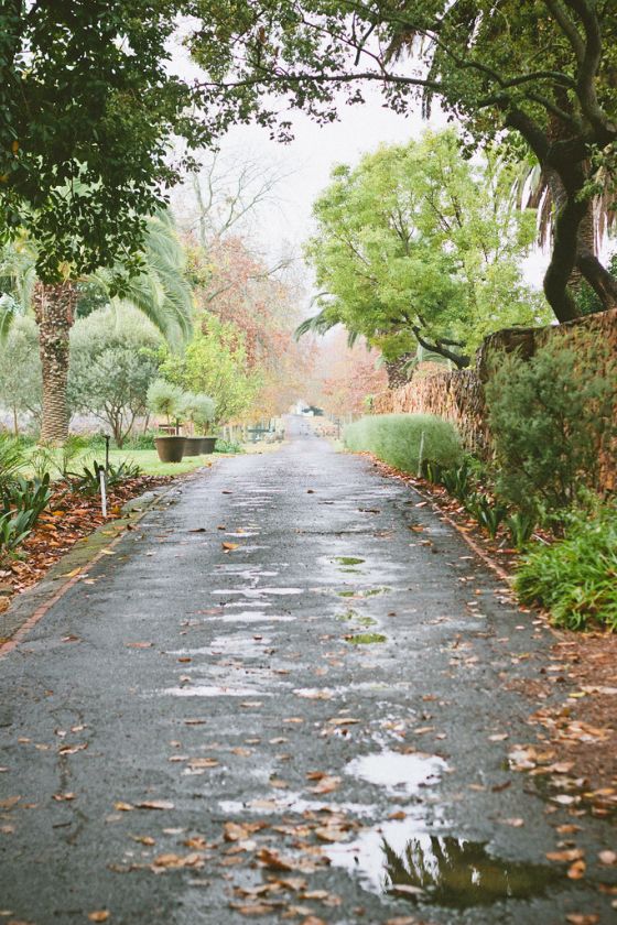 The Best Cape Town Wine Day Trips to Stellenbosch