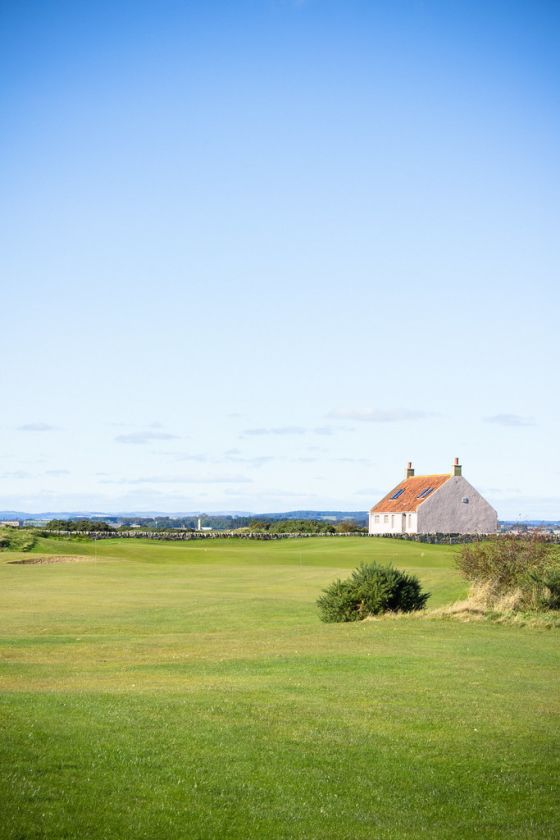 An Afternoon at the Alfred Dunhill Tournament