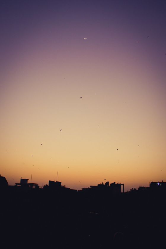Kite Festival in Gujarat, India