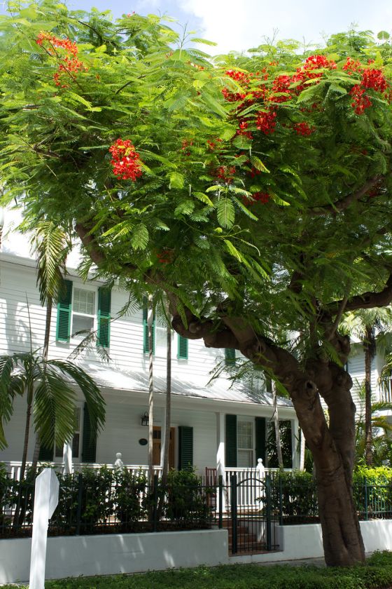 Photos to Inspire You To Visit Key West, Florida