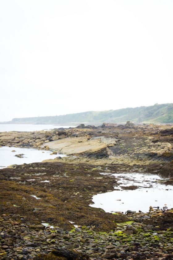 The Fife Coastal Path