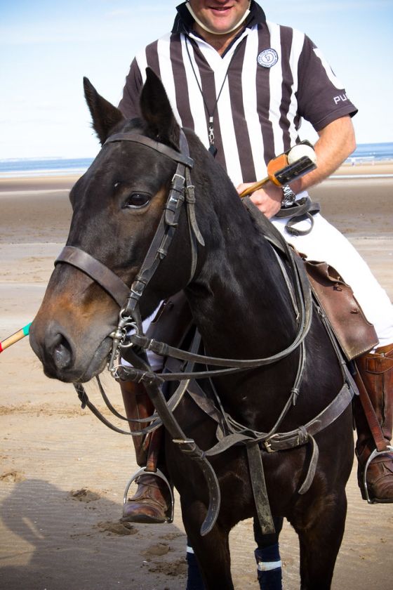 Polo on the Beach