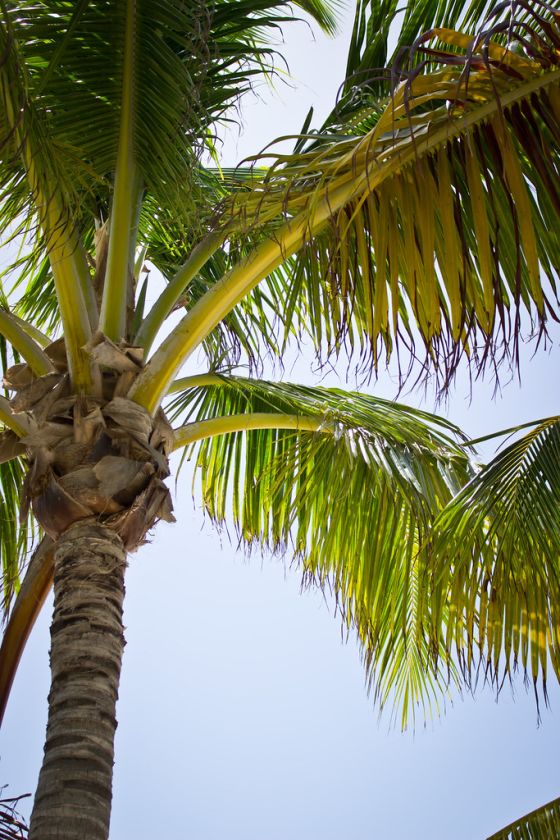 Photos to Inspire You To Visit Key West, Florida