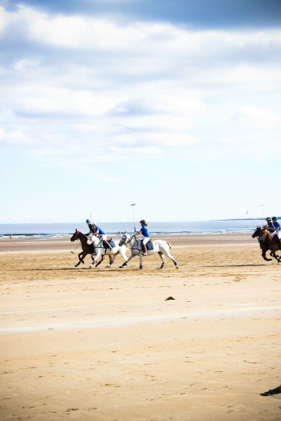 Polo on the Beach
