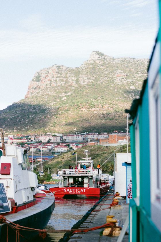 Things to do in Cape Town, South Africa