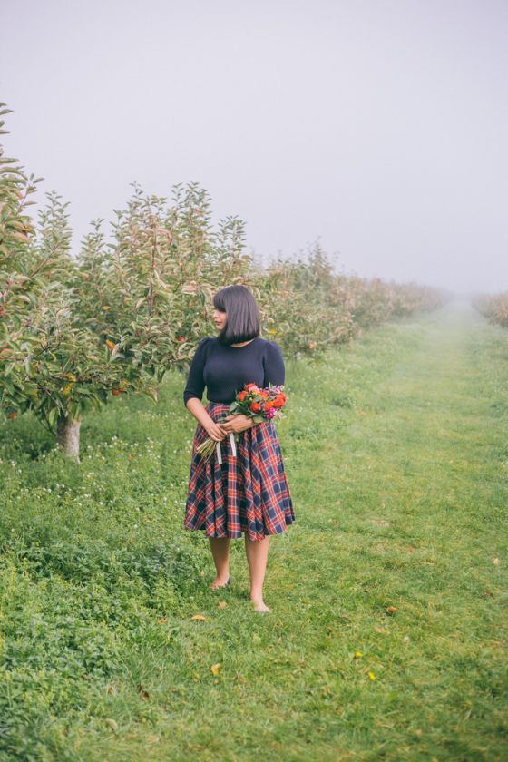 Apple Picking in Kent Supal Desai