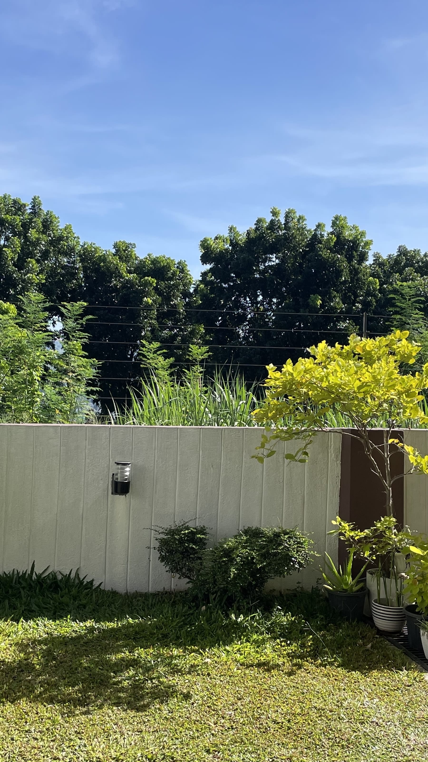 photo of a house's backyard wall  overlooking some greenery