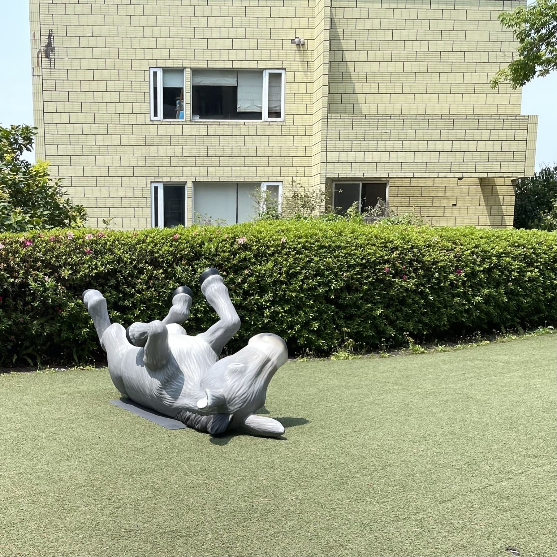 A gray horse or donkey statue lying down on the grass, with its legs up in the air, and seemingly basking in the sun.