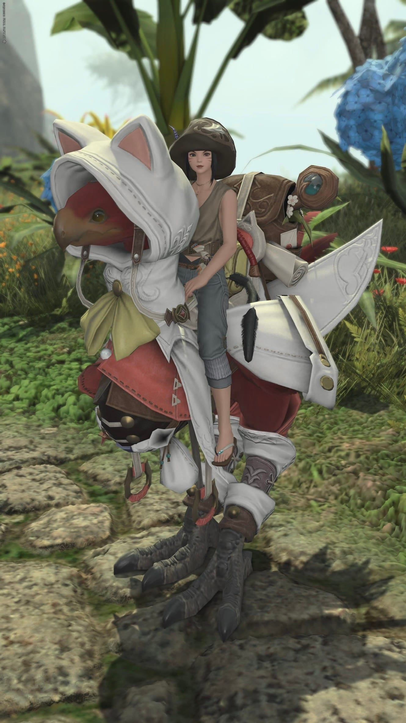 Chi’s catgirl character in FFXIV riding a red-feathered Chocobo that is wearing a white hoodie with cat ears. Behind Chi’s character are some bags to complete the whole barding set.