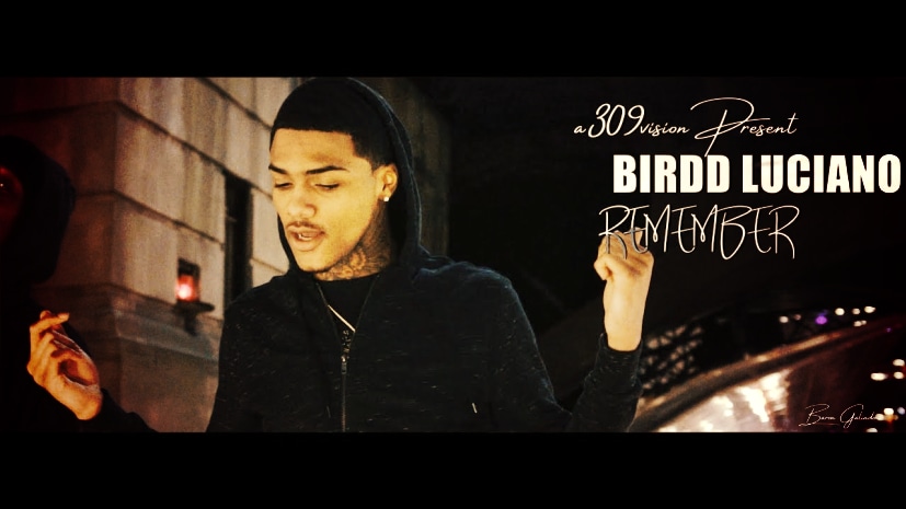 Birdd Luciano - Free Em.