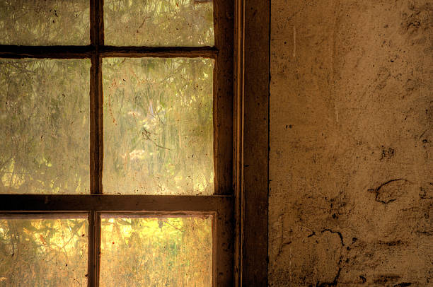 replace your windows