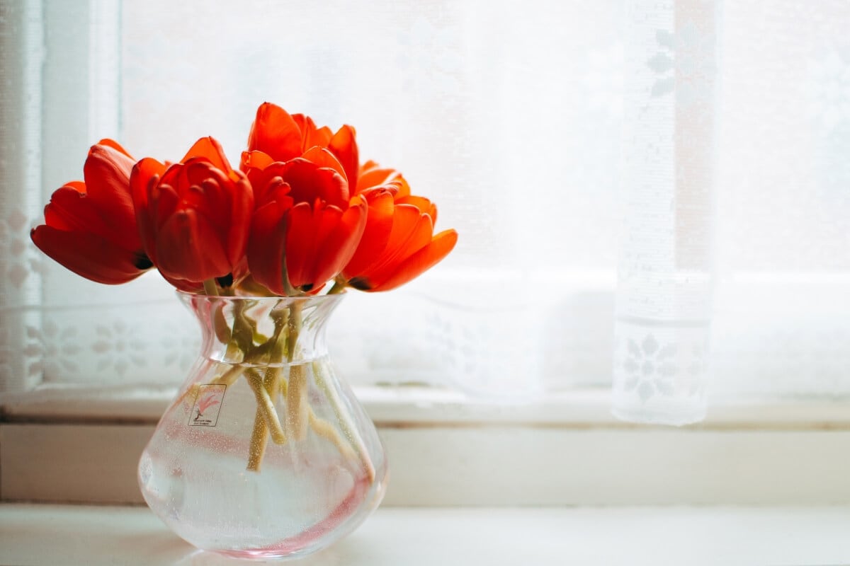 Window Trends 2019