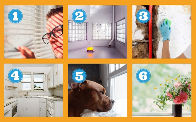 Types of Window Treatments