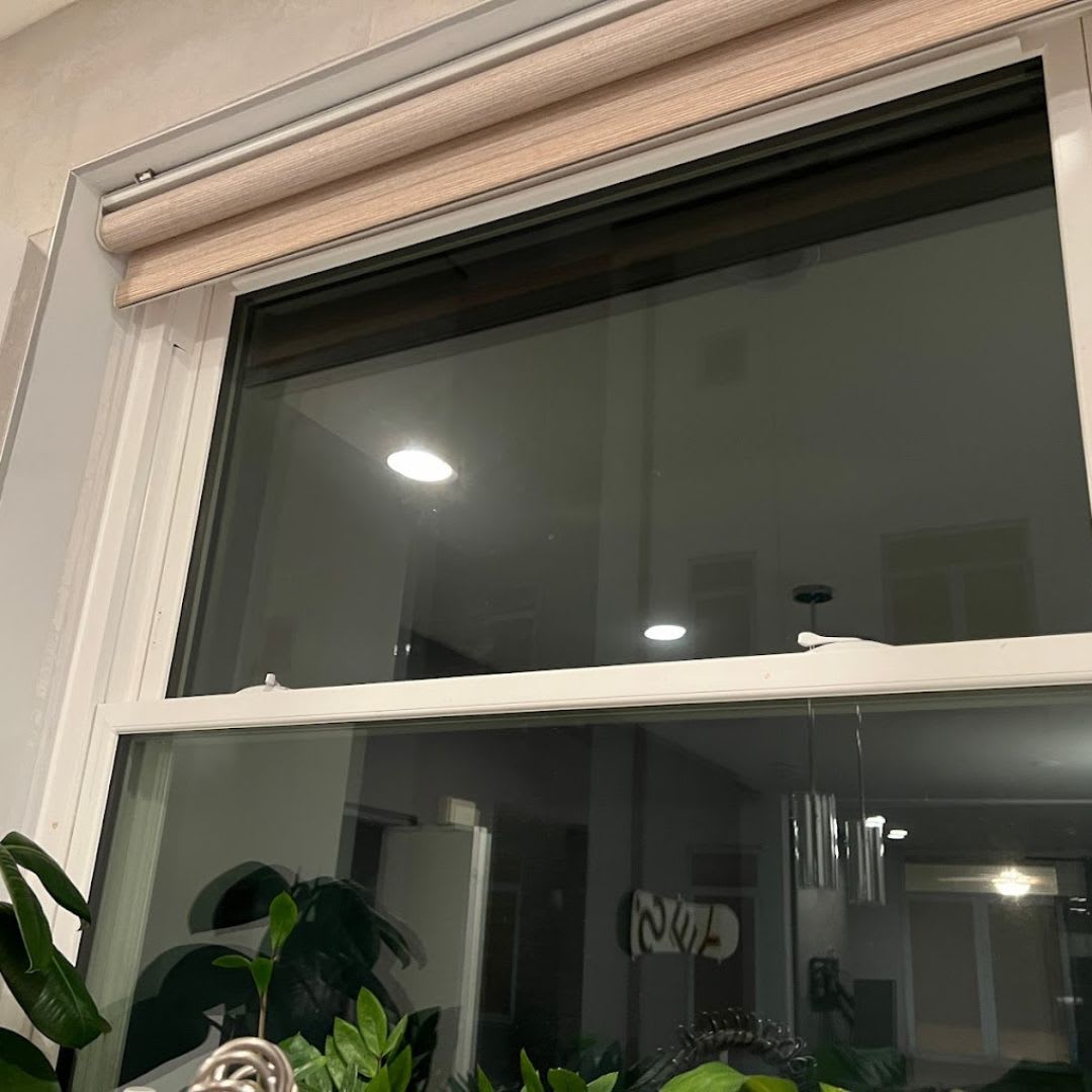 A window with a plant in front of it.