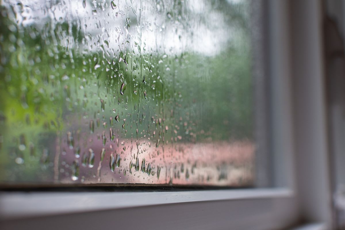 impact windows and door