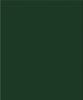 A solid, dark green square with no visible patterns or textures.