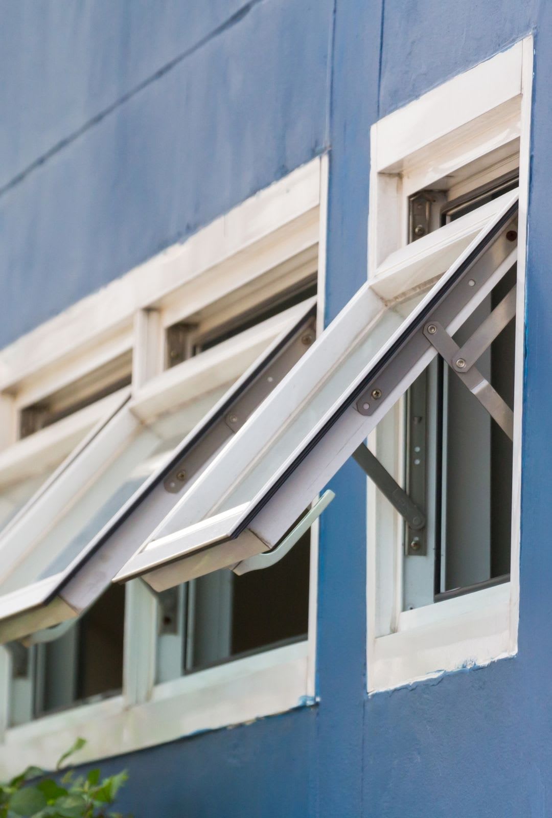 Two awning windows on a blue wall are open outward, supported by metal hinges and featuring white window frames—a stylish option for those considering replacement awning windows.