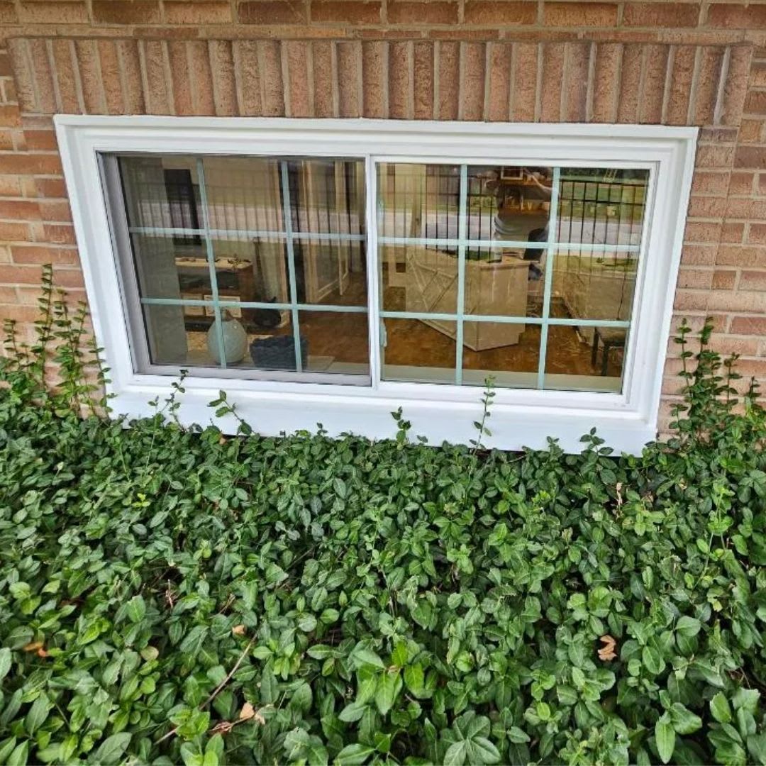 A basement egress window set in a brick wall is partially obscured by dense green ivy, with indoor furniture visible through the glass—a scene that highlights the need for timely egress window replacement or installation.