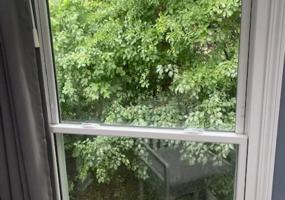 A window partially open with a view of dense green foliage outside; the reflection of an indoor chair is visible on the glass.